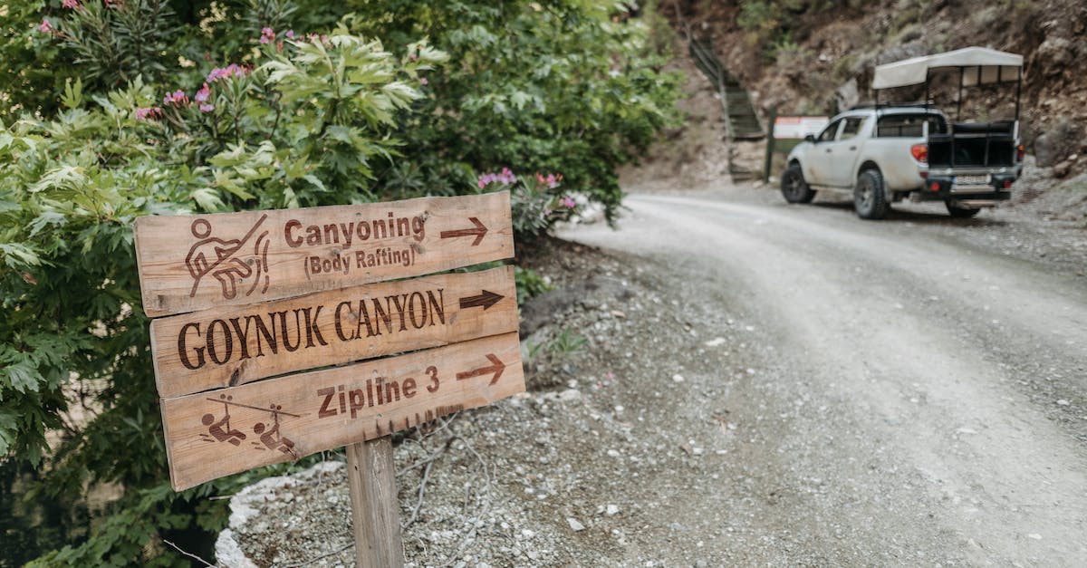 Where do I find a car in DayZ? - Brown Wooden Signage Near Green Plants