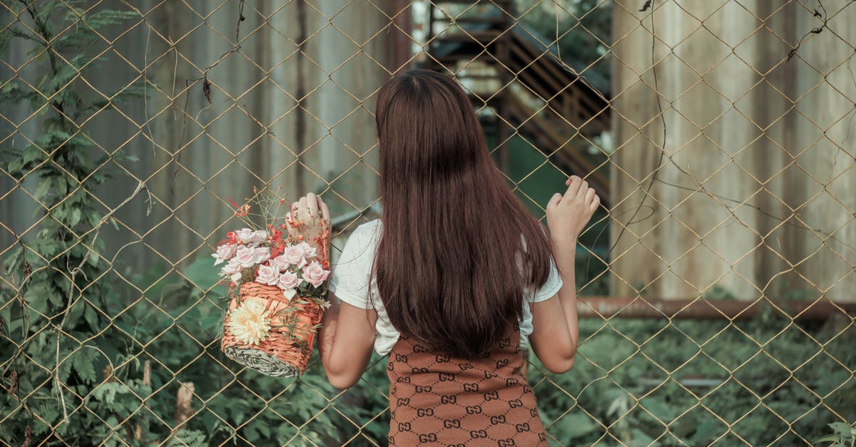 Where do I find bobbleheads, after benching the bobblehead stand? - Back view of young faceless female standing near fence and trying to find way through it