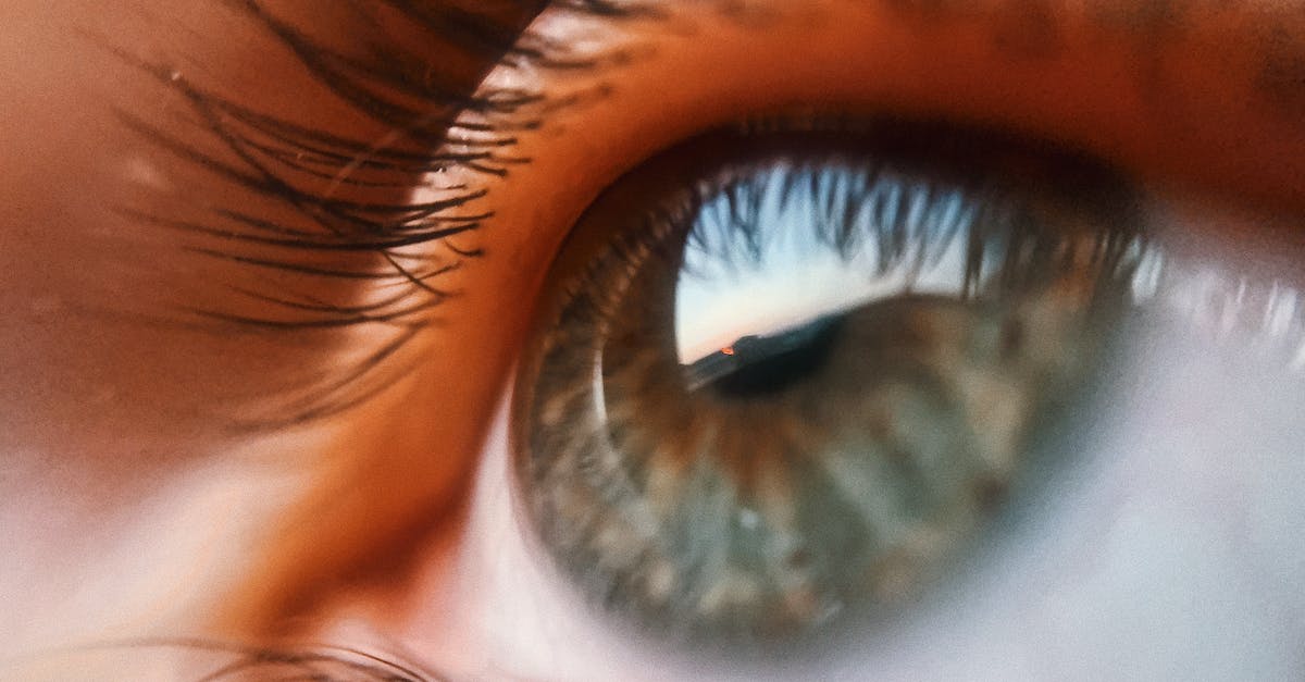 Where do the Act 5 Unique monsters spawn for the Special Assignment / Irreplaceable You achievements? - Eye of person with reflection