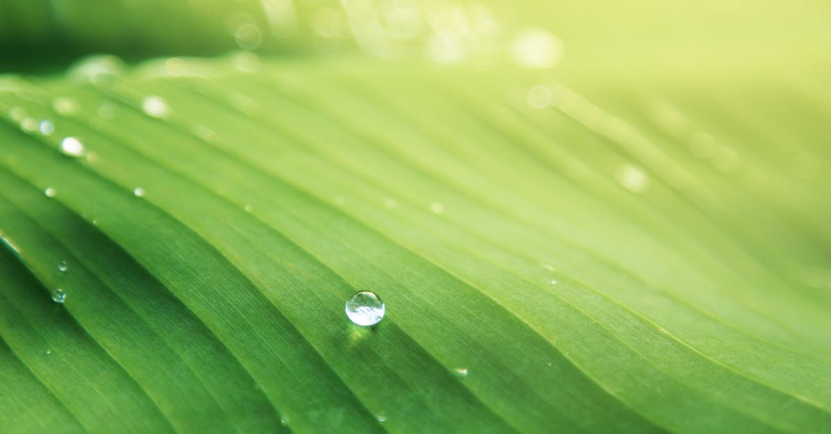 Where exactly is the line drawn for cheating? [closed] - Water Droplet on Green Leaf