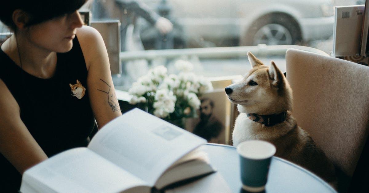 Where I can find the M&B viking conquest companion relationship for current version? - Photo Of Woman Beside Dog Where I can find the M&B viking conquest companion relationship for current version? - Photo Of Woman Beside Dog