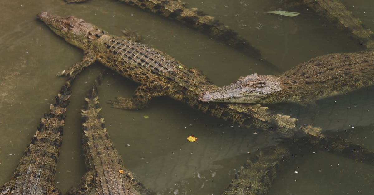 Where in Elite Dangerous are the Bookmarks stored? - Brown Crocodile on Green Water Where in Elite Dangerous are the Bookmarks stored? - Brown Crocodile on Green Water