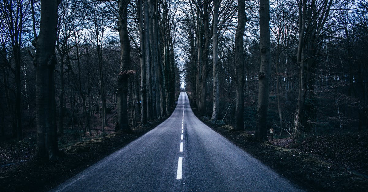 Where is Persoq's forest for "The Long Hunt"? - Empty Road in Middle of Trees