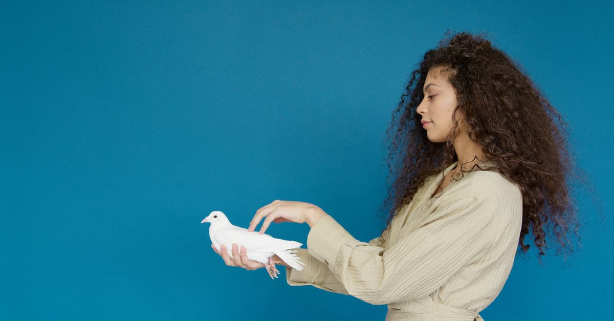 Where is the land in Falkreath Hold in skyrim hearthfire - Woman in White Long Sleeve Shirt Holding White Bird Where is the land in Falkreath Hold in skyrim hearthfire - Woman in White Long Sleeve Shirt Holding White Bird