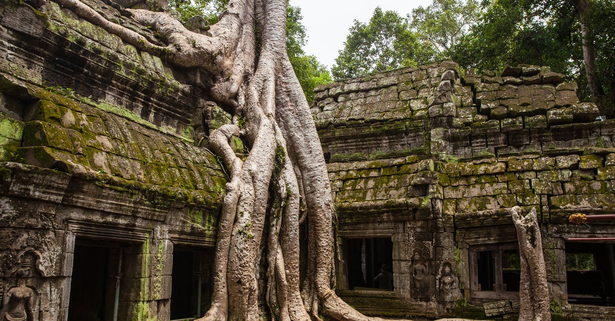 Where is the last green star in the Clockwork Ruins Galaxy? - Green Leafed Trees