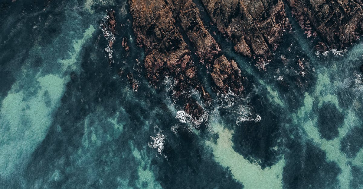 Where is the last riddler destructible on Founders' Island? - Aerial View of Brown and Green Trees Beside Body of Water Where is the last riddler destructible on Founders' Island? - Aerial View of Brown and Green Trees Beside Body of Water