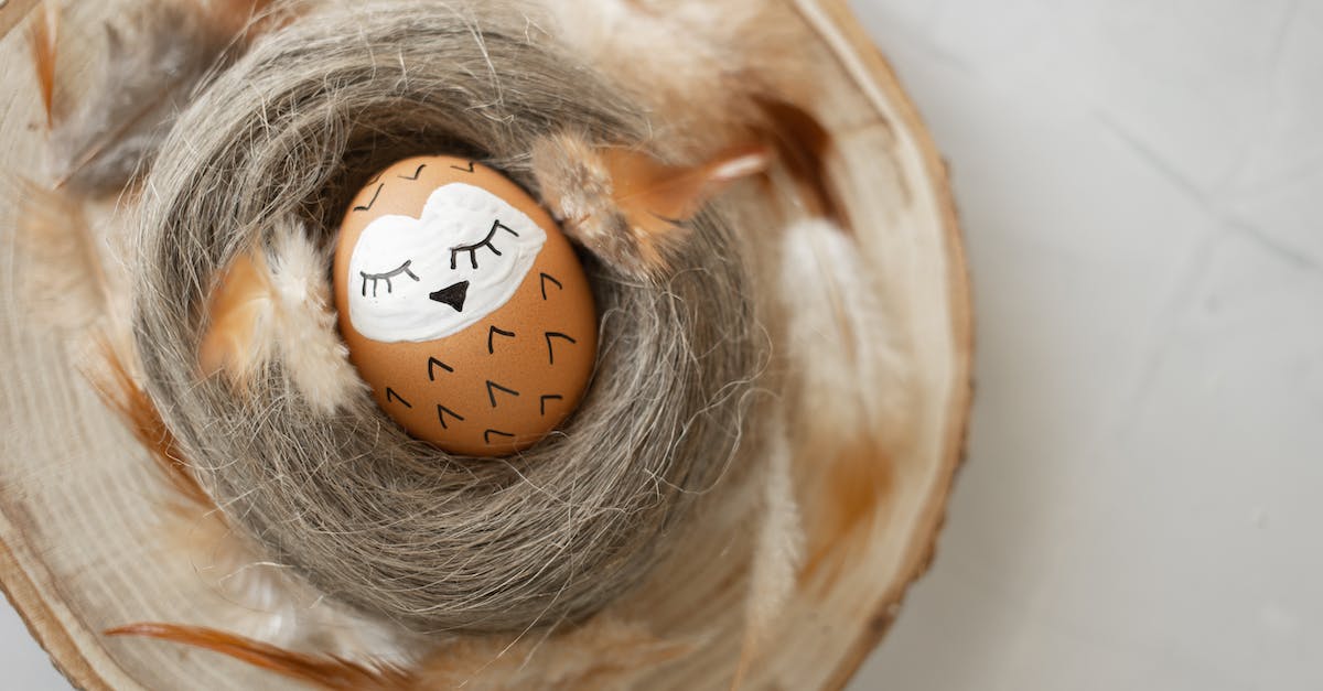 Where is the very last egg in Spyro: Year of the Dragon? - Painted Brown Egg on Wooden Board Where is the very last egg in Spyro: Year of the Dragon? - Painted Brown Egg on Wooden Board