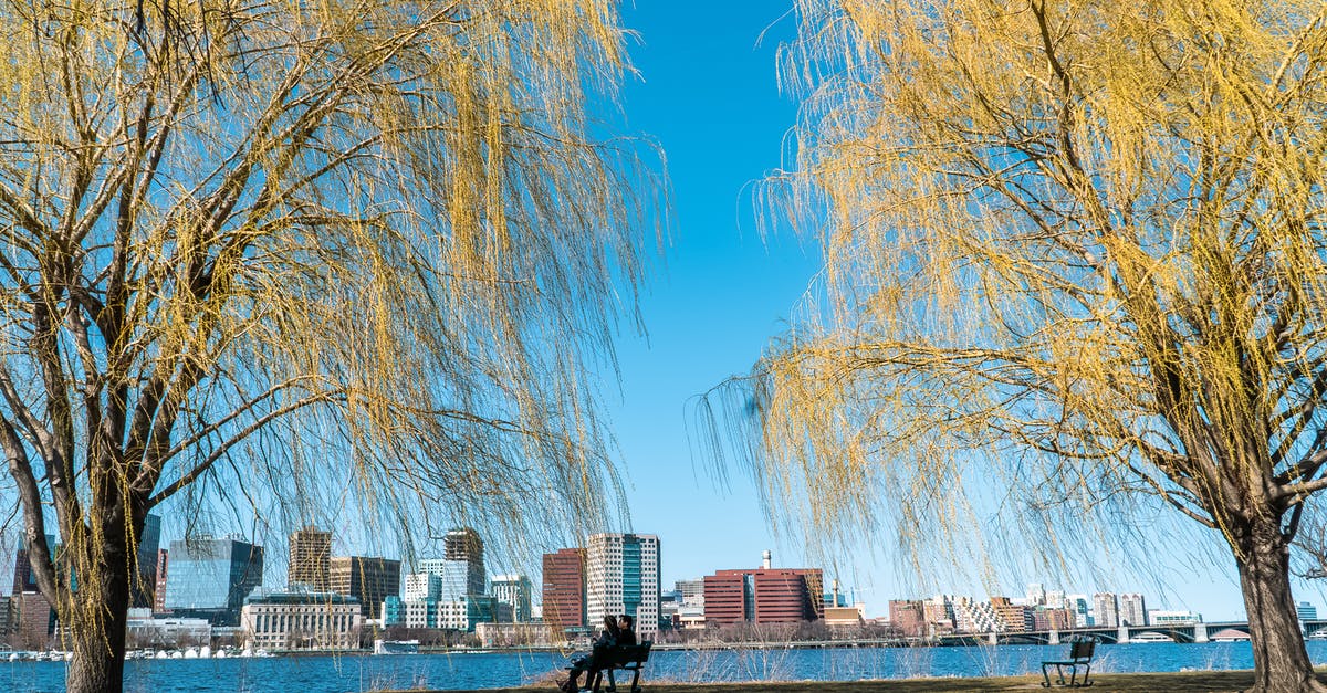 Where is Willow Blue's invitation? - Free stock photo of benches, blue sky, branches