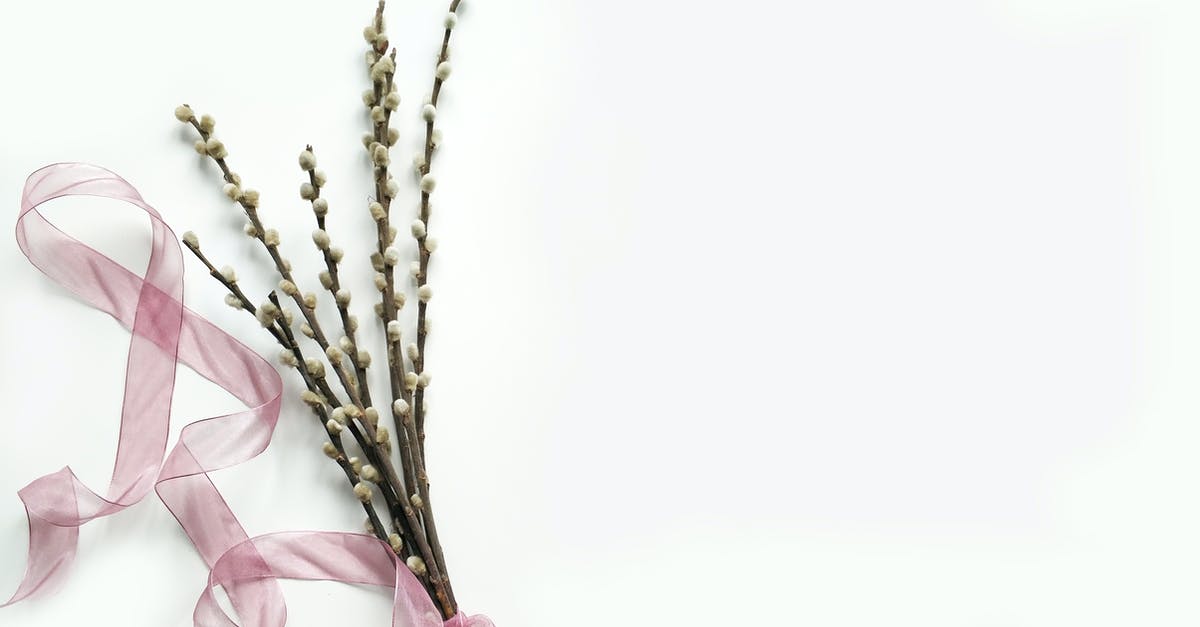 Where is Willow Blue's invitation? - Green Flower Bouquet on White Background