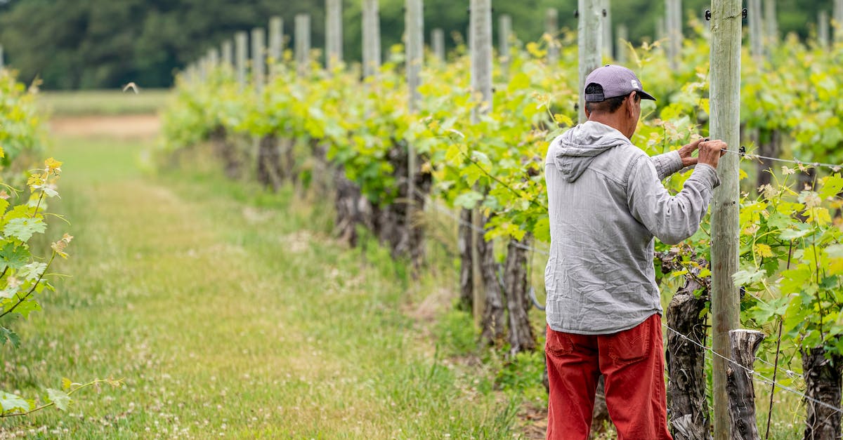 Where should I go to farm parts for the Trading Post Auctioneer? - A Farmer Putting Up a Wire Fence Where should I go to farm parts for the Trading Post Auctioneer? - A Farmer Putting Up a Wire Fence