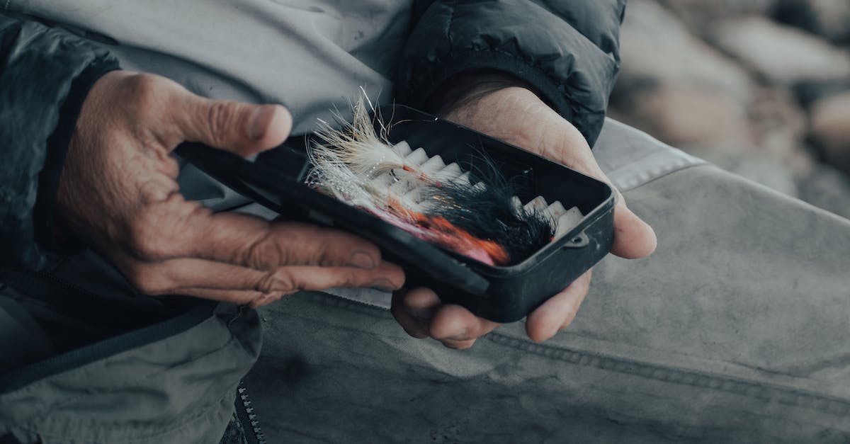 Where to get 460 lvl gear for raids? - Person Holding Black and Orange Bird Where to get 460 lvl gear for raids? - Person Holding Black and Orange Bird