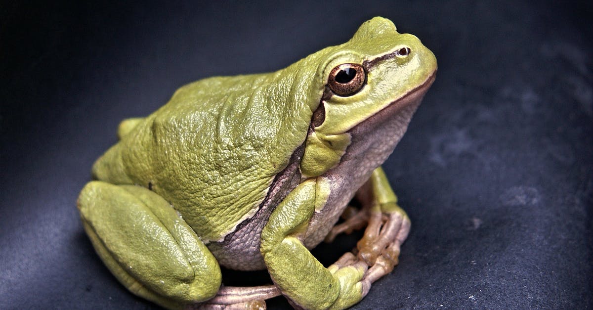 Where to get the frog miniatures? - Green Frog Where to get the frog miniatures? - Green Frog