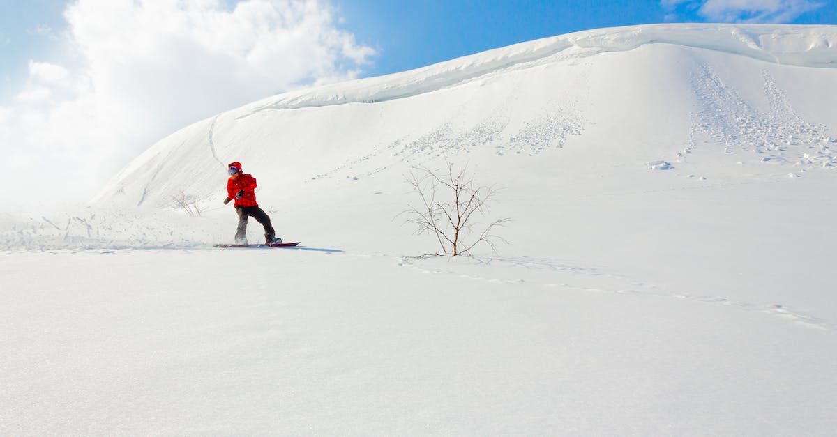 Which action is chosen in case of a tie? - Person in Red Jacket and Black Pants Standing on Snow Covered Ground Which action is chosen in case of a tie? - Person in Red Jacket and Black Pants Standing on Snow Covered Ground
