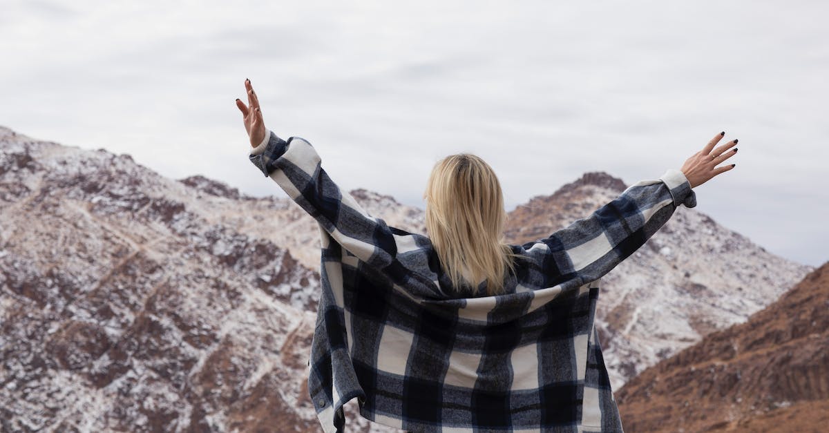 Which adventure game of a female with blonde hair is this? - Woman Wearing Plaid Long Sleeve Shirt