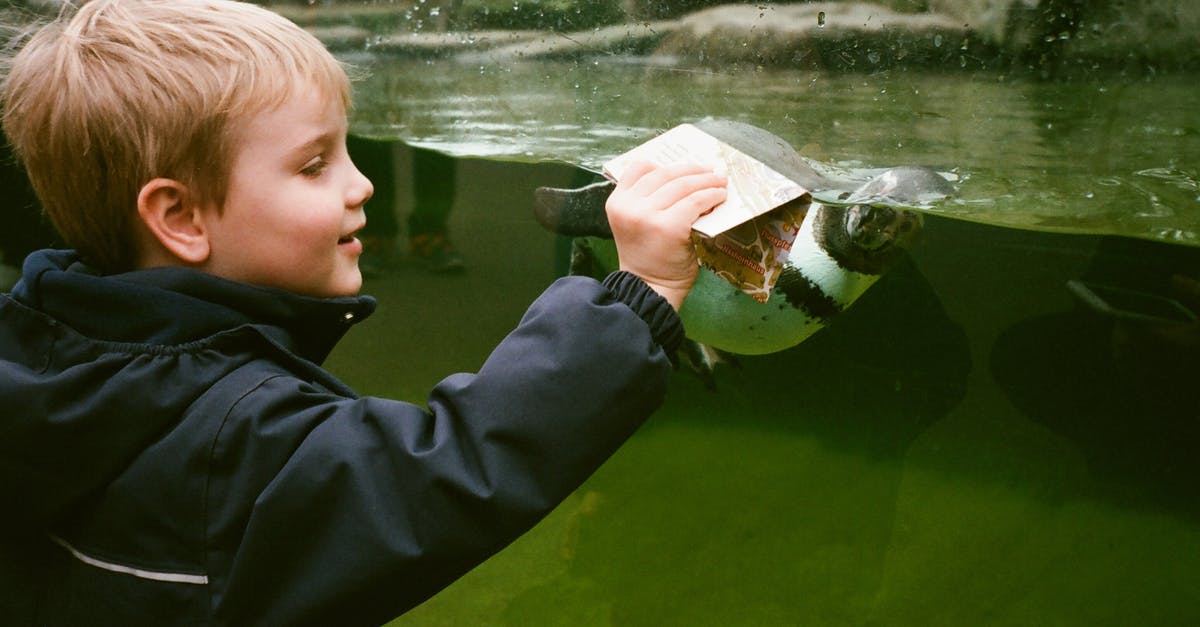 Which are the specific conditions to get a pirate map to drop? - Adorable boy near aquarium with little seal in oceanarium Which are the specific conditions to get a pirate map to drop? - Adorable boy near aquarium with little seal in oceanarium