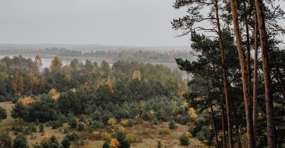 Which bank is the hardest to hack? - Misty Forest by River Bank Which bank is the hardest to hack? - Misty Forest by River Bank