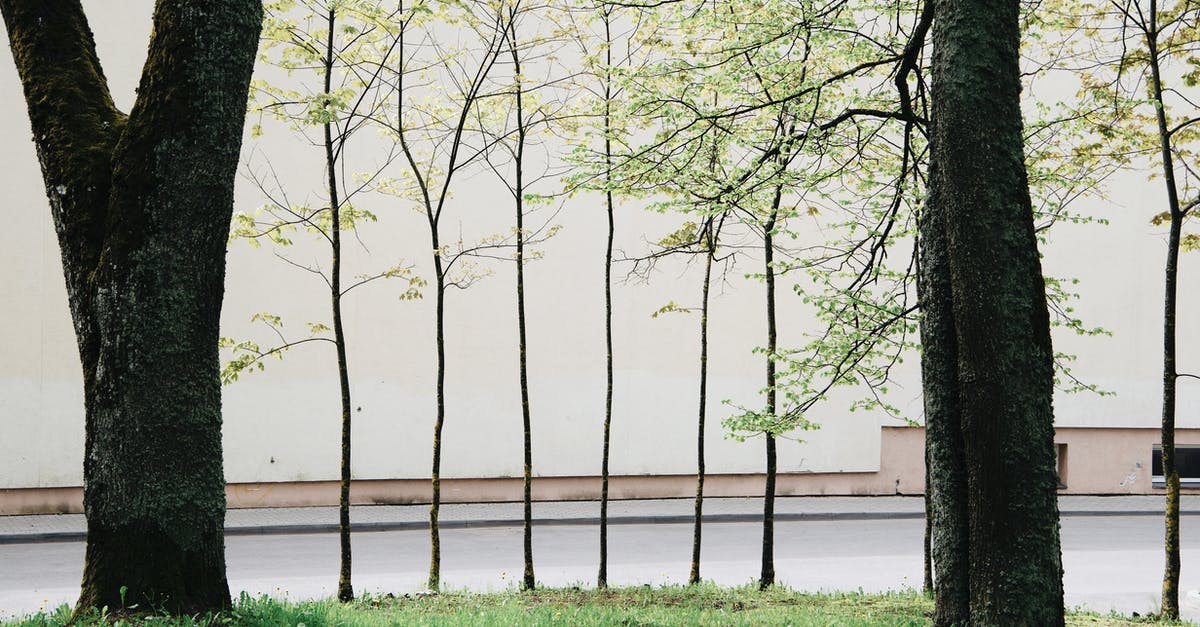 Which champion performs better in the early season 7 meta? - Natural spring landscape on background of old building Which champion performs better in the early season 7 meta? - Natural spring landscape on background of old building