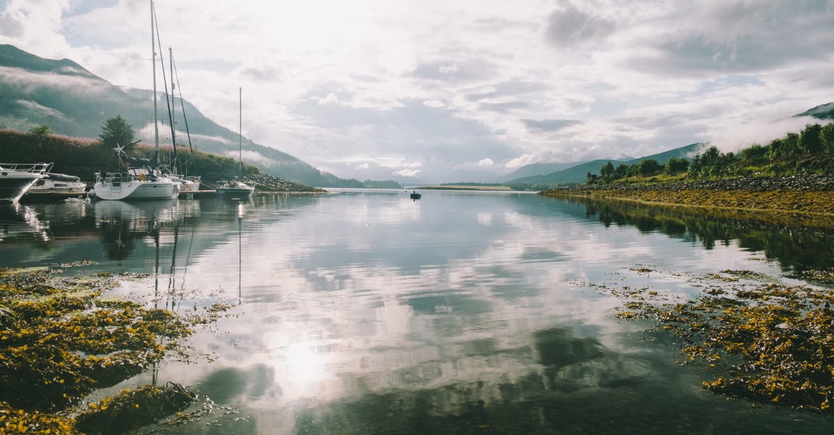 Which champion performs better in the early season 7 meta? - Calm lake with yachts in morning Which champion performs better in the early season 7 meta? - Calm lake with yachts in morning