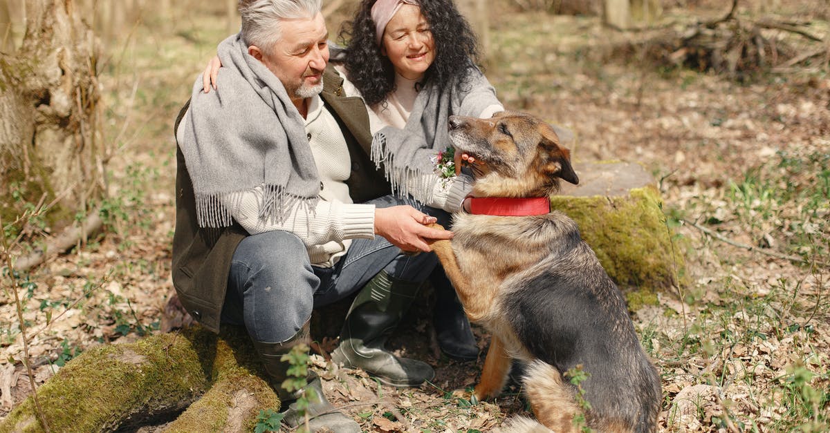 Which companions return for knights of the fallen empire/eternal throne? - Happy elderly couple strolling in forest with dog