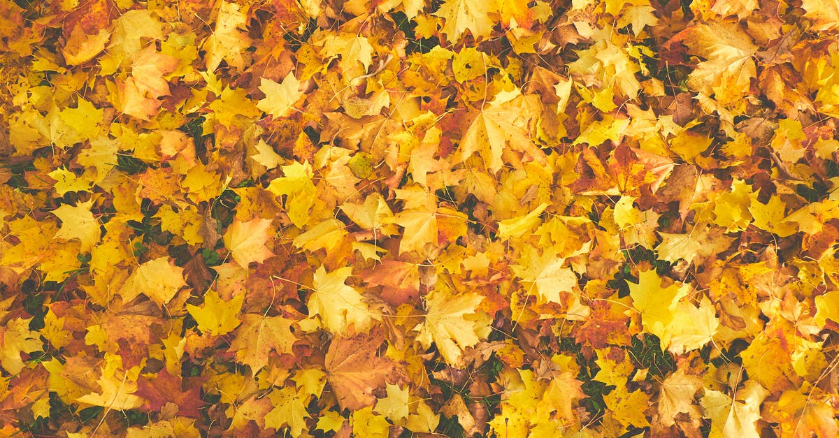 Which factors influence the gold gained from mercenary quests? - Yellow Dry Maple