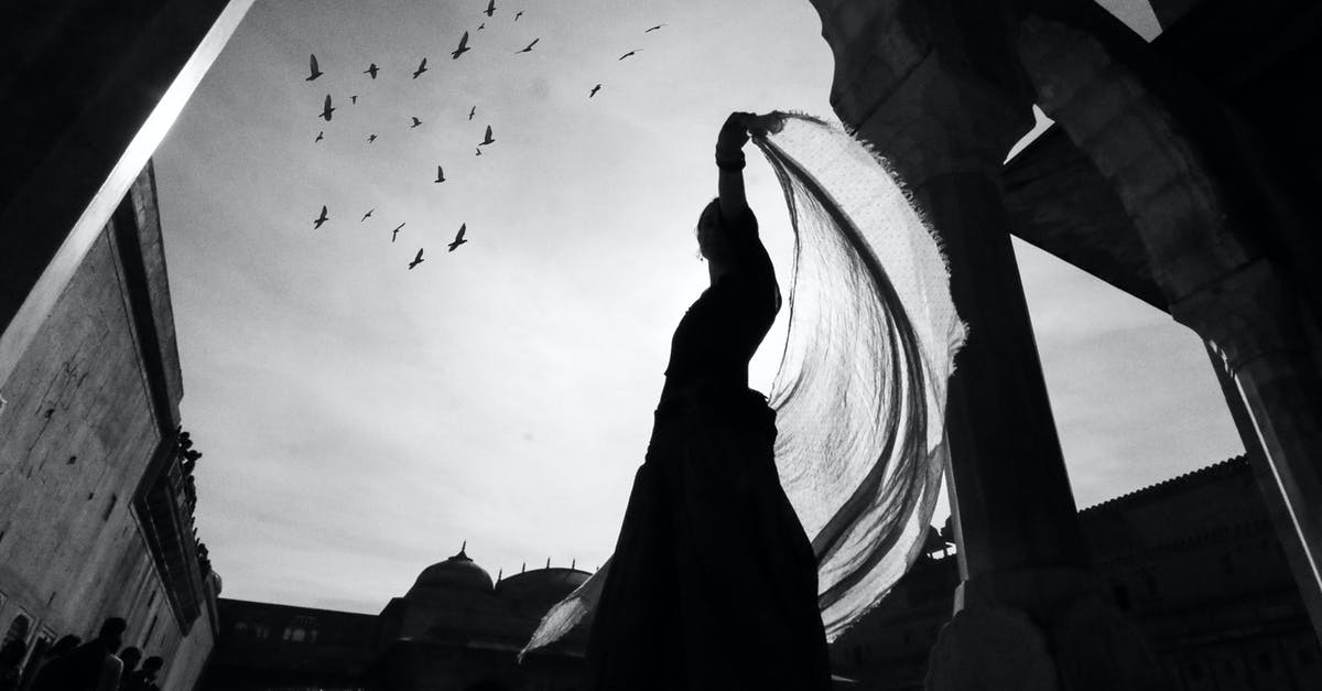 Which God has the 'Bird is the Word' dance emote? - Low Angle Shot of Silhouette of Person dancing using Sheer Fabric Which God has the 'Bird is the Word' dance emote? - Low Angle Shot of Silhouette of Person dancing using Sheer Fabric