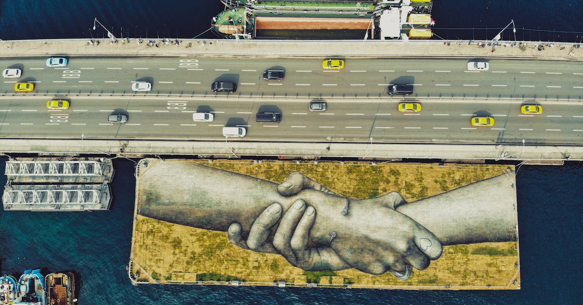 Which hold has the most giant camps? - A Giant Painting by a French Artist Saype in Istanbul, Turkey