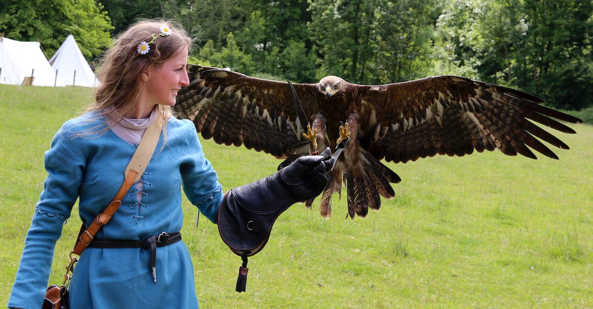 Which is faster, Brawler Claws or Raptor Claws? (No speed modifiers) - A Woman Training an Eagle