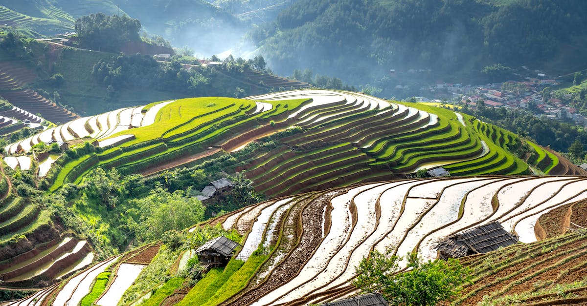 Which levels have bonus secret levels in them? - Free stock photo of agriculture, countryside, crop