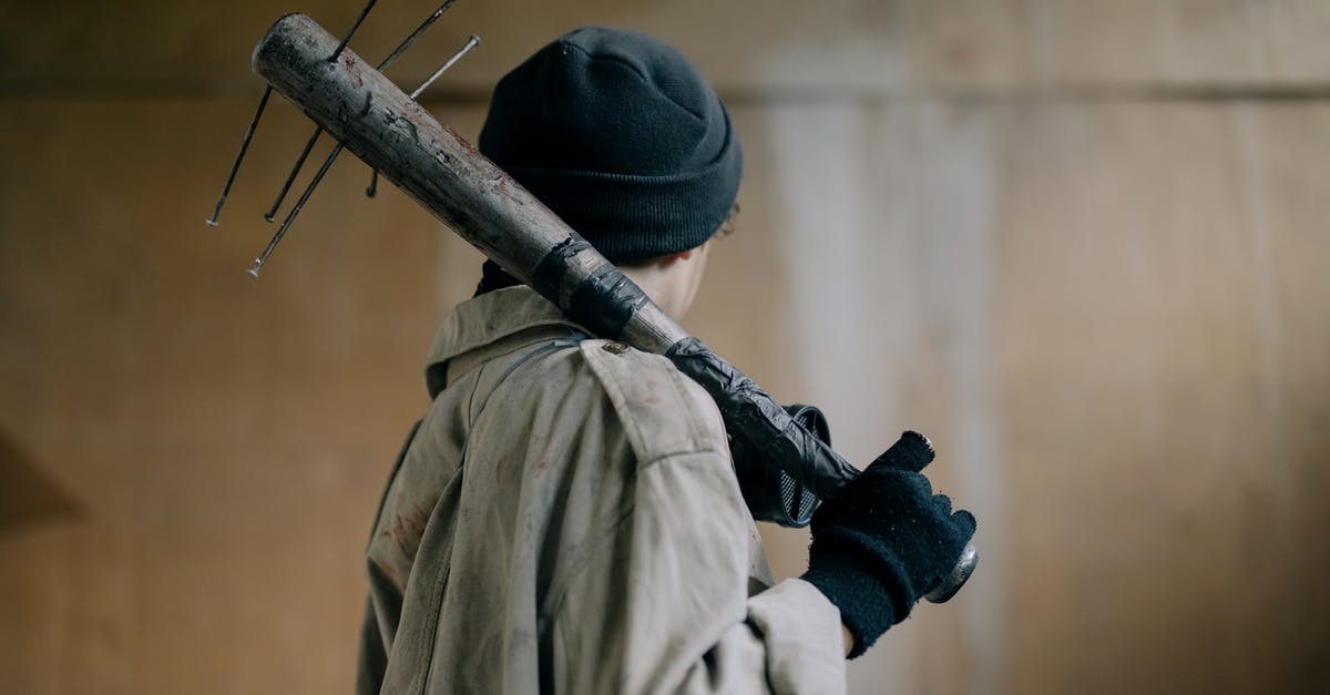 Which melee weapon, other than Zenith, has the highest DPS? - Person in Black Knit Cap and Beige Coat Holding Brown Wooden Stick