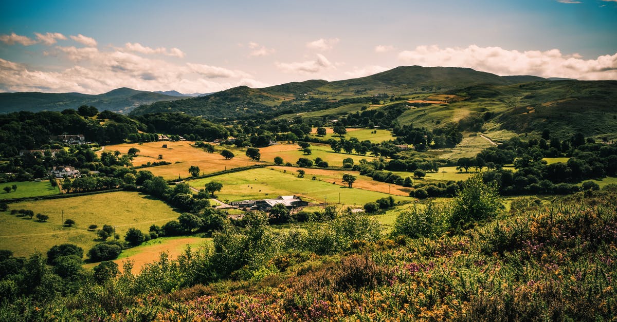Which of the villagers have cut-scenes? - Green Tree and Grass Field at Daytime Which of the villagers have cut-scenes? - Green Tree and Grass Field at Daytime
