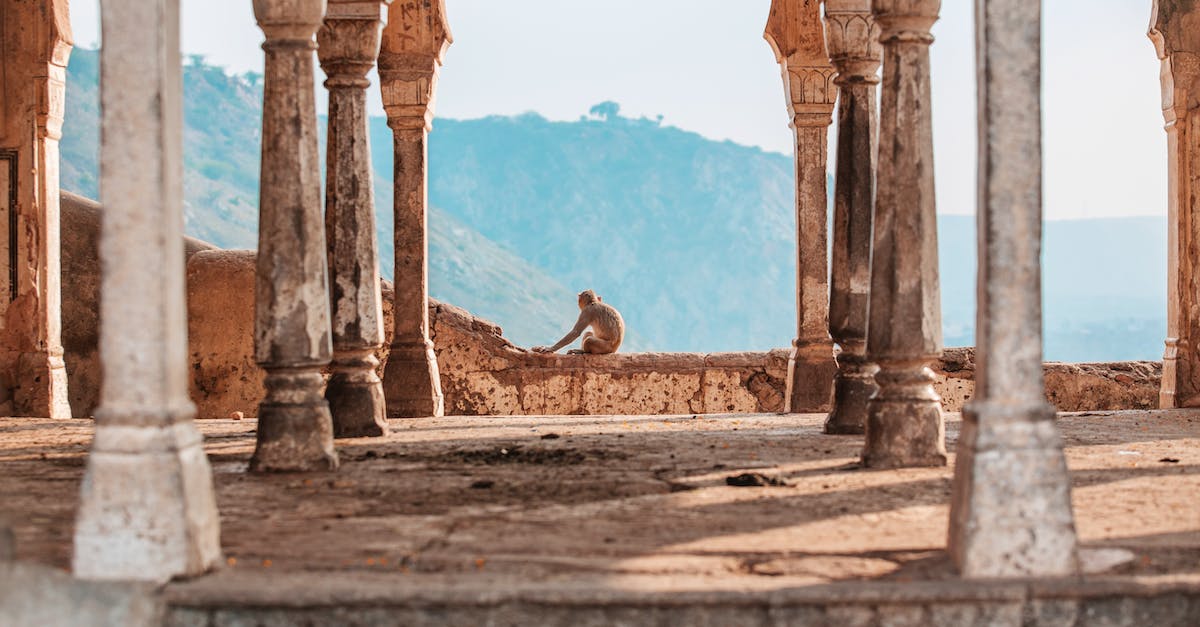 Which tower consumptions benefit a Temple of the Monkey God, and how, exactly? [duplicate] - Ancient temple columns and monkey