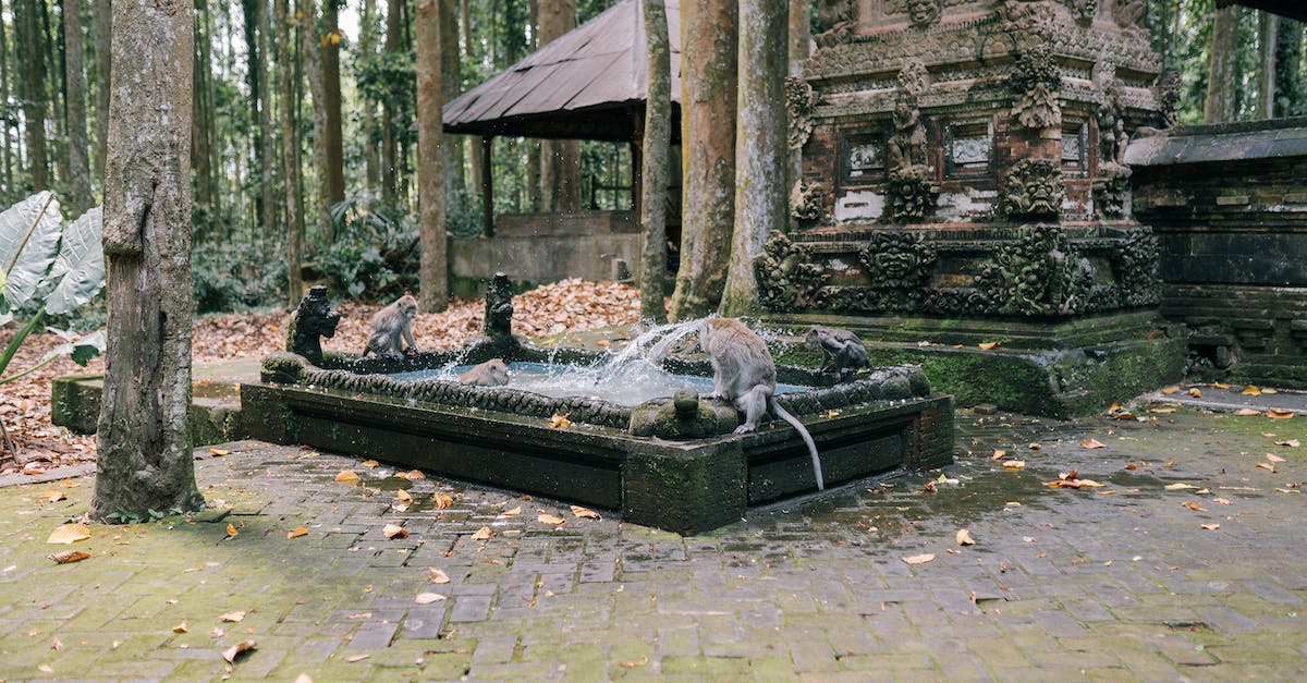 Which tower consumptions benefit a Temple of the Monkey God, and how, exactly? [duplicate] - Monkeys Bathing in a Fountain 