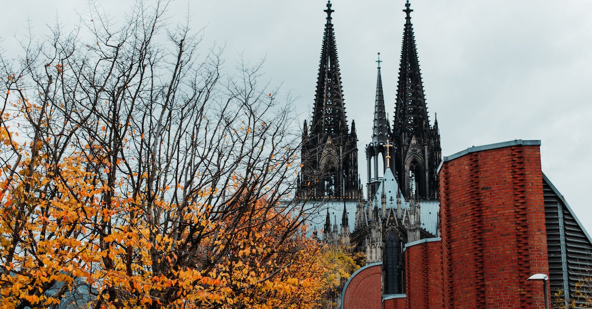 Who are Gothic 2 english voice actors? - Free stock photo of architectural, architectural building, architecture city