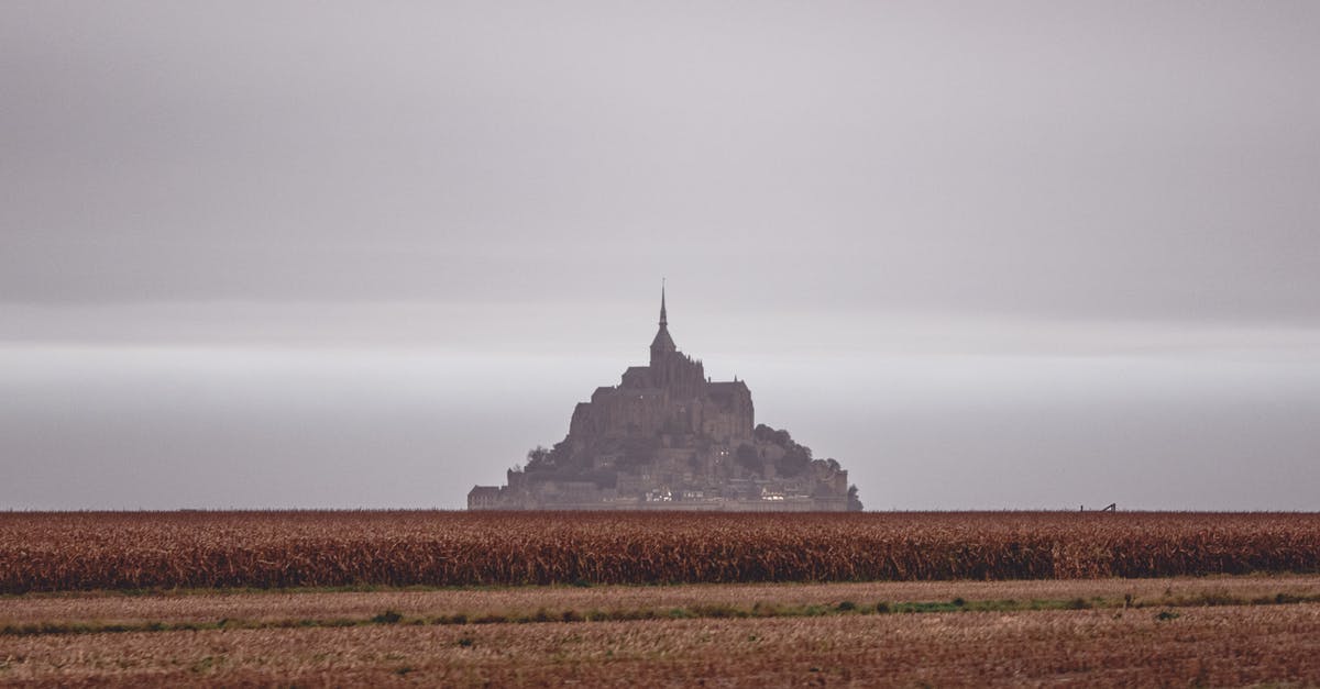 Who in the Grand Palace is Lucia referring to? - Scenery of distant grand Mon Saint Michel Abbey situated on vast grassy valley under cloudy gloomy sky Who in the Grand Palace is Lucia referring to? - Scenery of distant grand Mon Saint Michel Abbey situated on vast grassy valley under cloudy gloomy sky