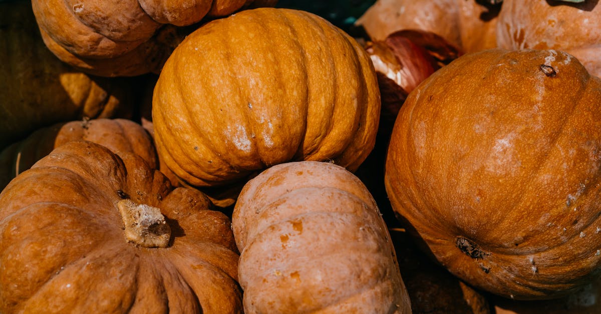Who is the big bad jellyfish? - Orange Pumpkin on Brown Wooden Table Who is the big bad jellyfish? - Orange Pumpkin on Brown Wooden Table