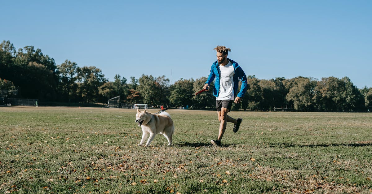 Who is this green guy? - Ethnic male in casual clothes running on green lawn with adorable dog in sunny park Who is this green guy? - Ethnic male in casual clothes running on green lawn with adorable dog in sunny park