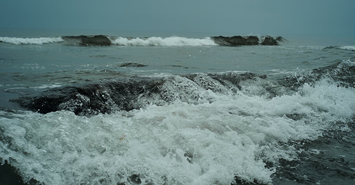 Who moves faster; Crash or Coco? - Small waves crashing near coast Who moves faster; Crash or Coco? - Small waves crashing near coast