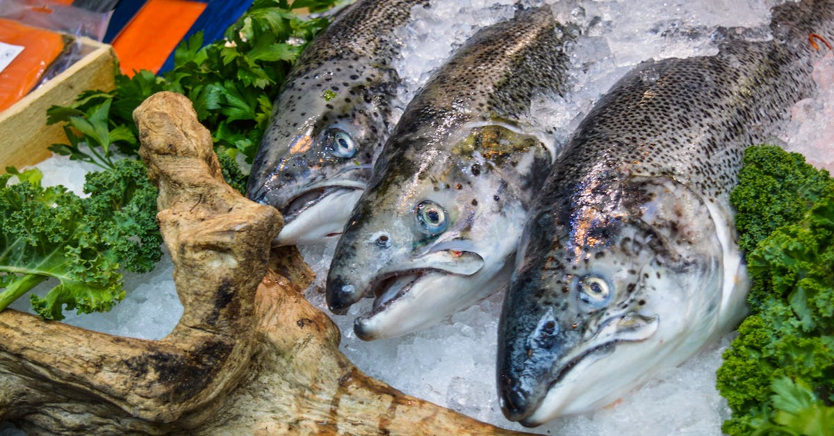 Who sells alchemy recipes? - From above of assorted uncooked fish lying among leaves on stall in fridge