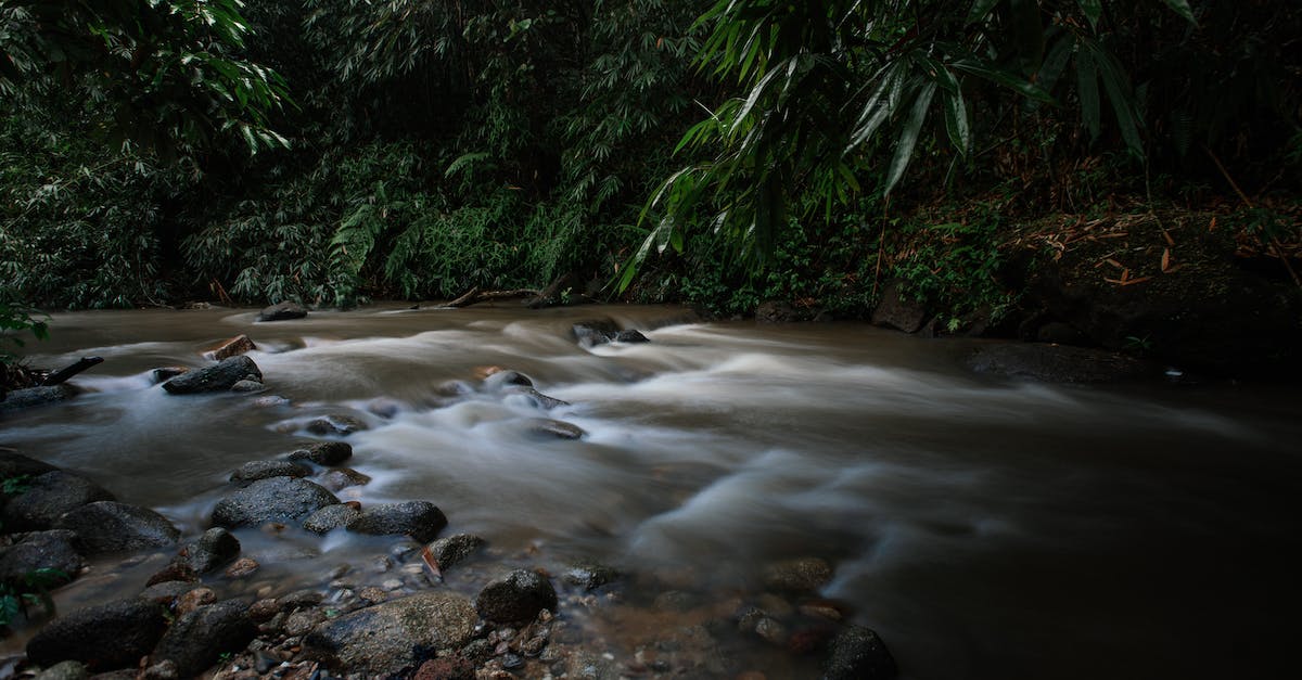 Whoa! How did the water not go flowing everywhere? - Stream in the tropical forest