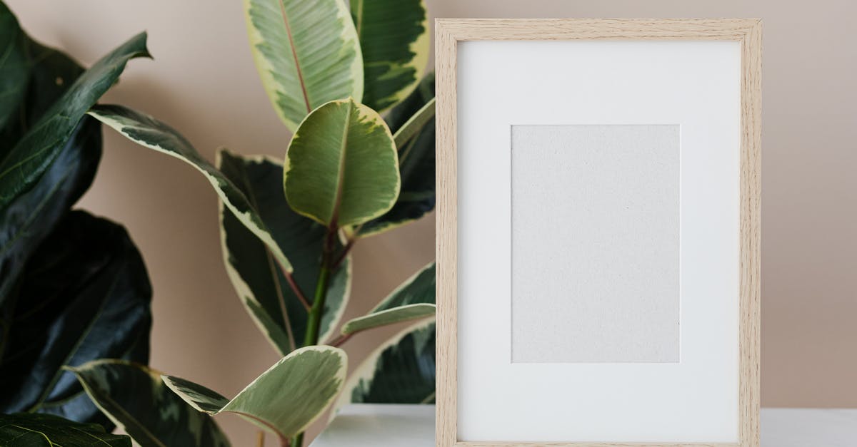 Whose house is next to Nabstablook's house? - Empty Picture Frame Standing on Cabinet Next to House Plant