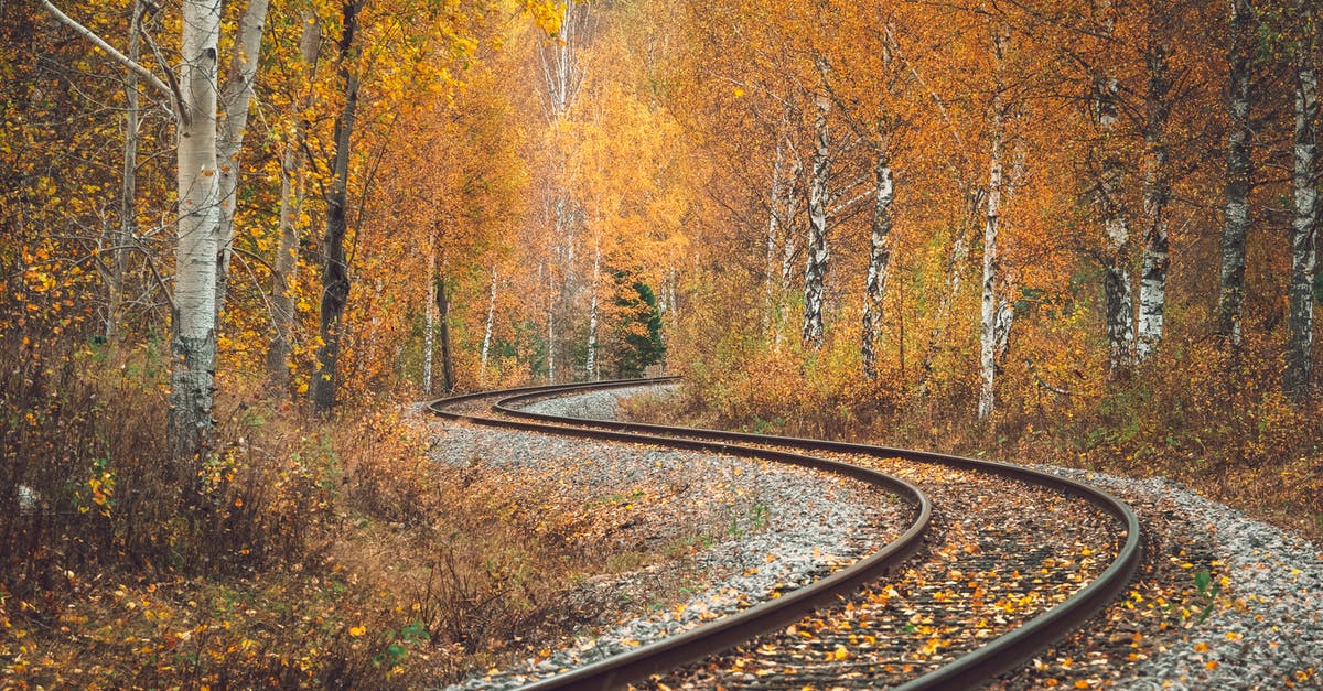 Why am I falling through floor near linked_portal_doors? [closed] - Railroad Tracks Running Through Autumn Birch Forest