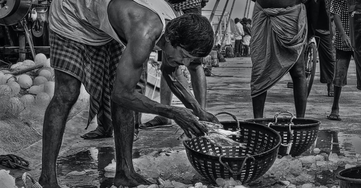 Why am I getting wet? - Monochrome Shot of a Man Putting Raw Fishes in a Basket