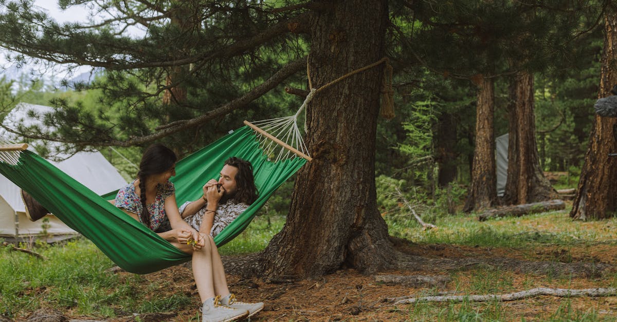 Why am I taking damage after timing out Senator phase 2? - Woman in Blue Dress Sitting on Hammock Why am I taking damage after timing out Senator phase 2? - Woman in Blue Dress Sitting on Hammock
