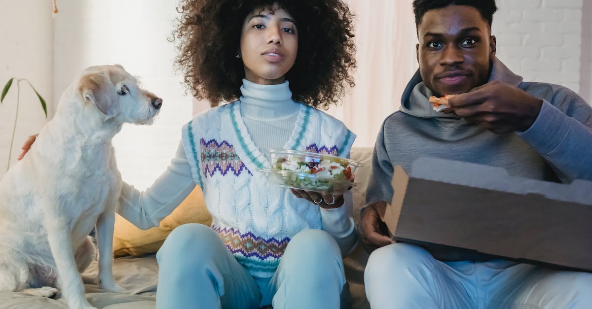 Why are expected delivery times given as a range? - Young ethnic couple watching TV and eating delivered meal sitting on couch near dog