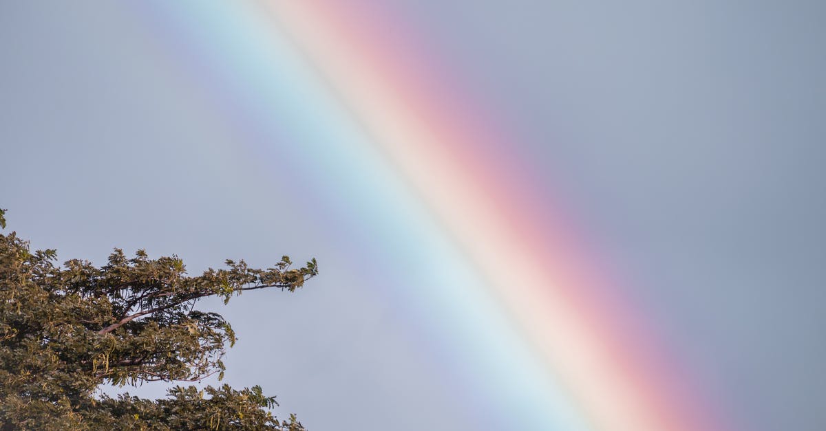 Why are mid wards effective? - Green Trees Under Blue Sky Why are mid wards effective? - Green Trees Under Blue Sky