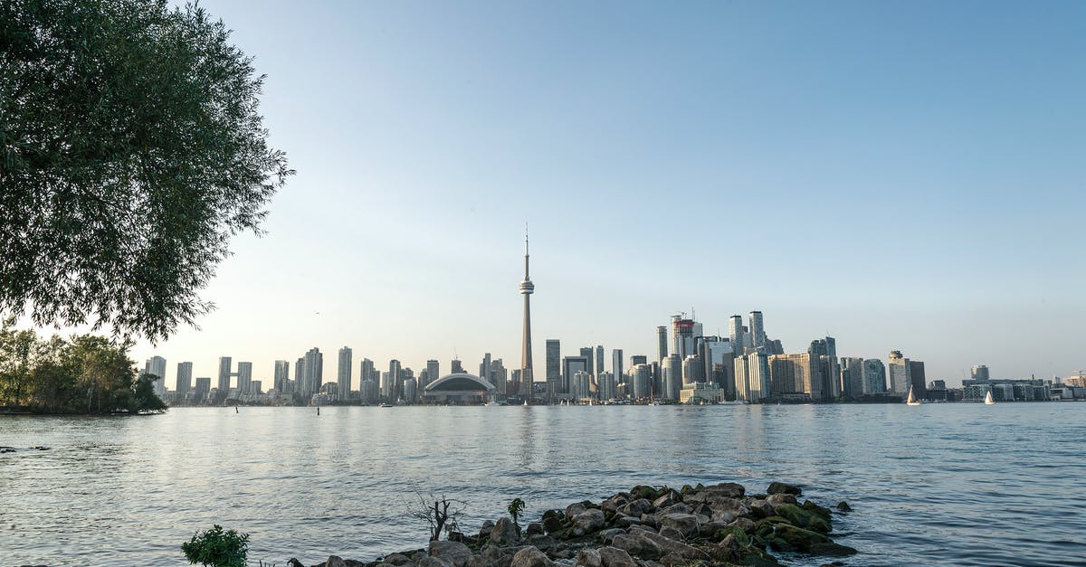 Why are my buildings and zones completely disappearing in Cities Skylines? - City Skyline Across Body of Water Why are my buildings and zones completely disappearing in Cities Skylines? - City Skyline Across Body of Water