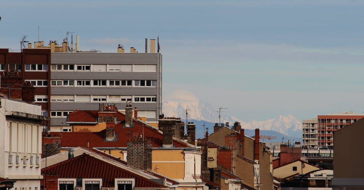 Why are my buildings and zones completely disappearing in Cities Skylines? - Urban Skyline with Mountains in Distance Why are my buildings and zones completely disappearing in Cities Skylines? - Urban Skyline with Mountains in Distance