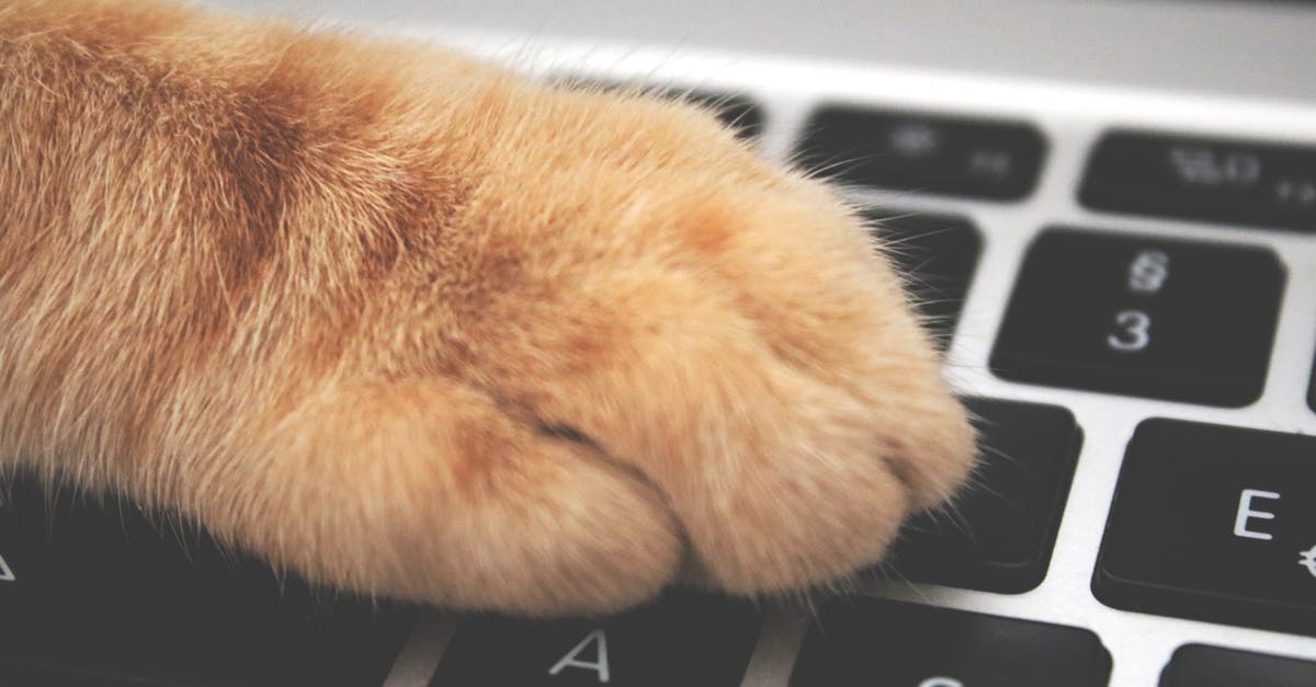 Why are no paw prints displayed? [duplicate] - Orange Cat Foot on Laptop Keyboard