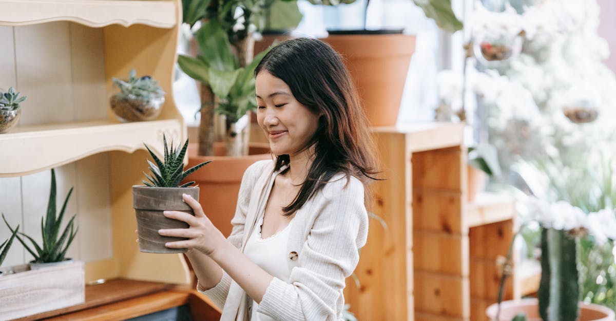 Why are some of potions in the shop sparkling? - Woman in White Long Sleeve Shirt Holding Green Plant Why are some of potions in the shop sparkling? - Woman in White Long Sleeve Shirt Holding Green Plant