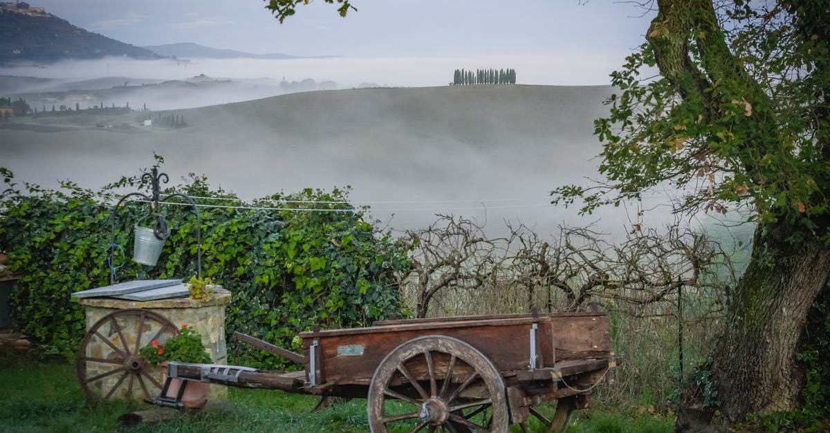 Why are the demons fighting themselves as well as the protagonist? - Brown Wooden Cart on Green Grass Field Near Lake